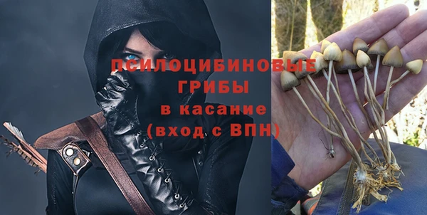 сатива Армянск