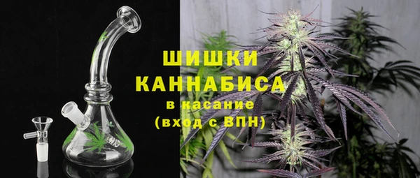 сатива Армянск